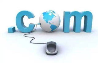 浙江互聯(lián)網(wǎng)信息服務(wù) 以數(shù)字化改革深化政務(wù)服務(wù)，精準利企便民